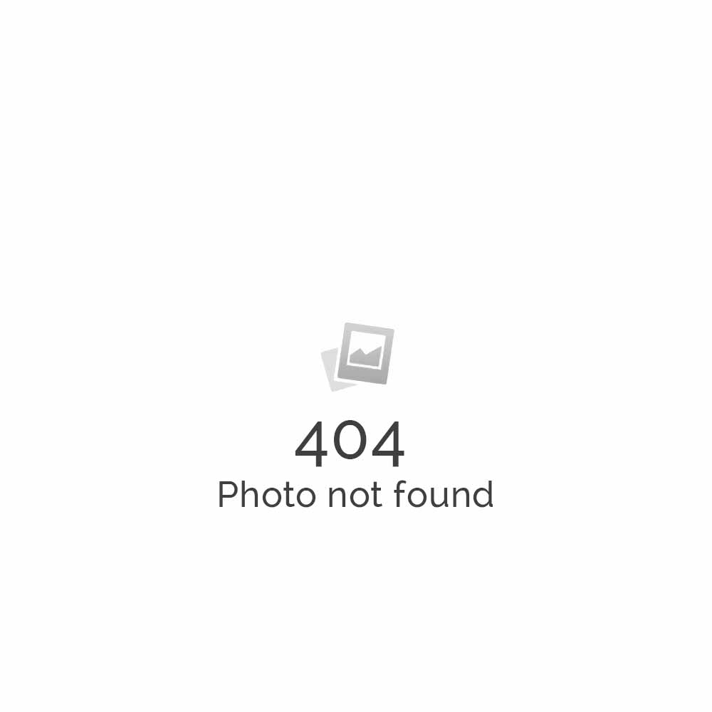 Many web sites still in their infancy